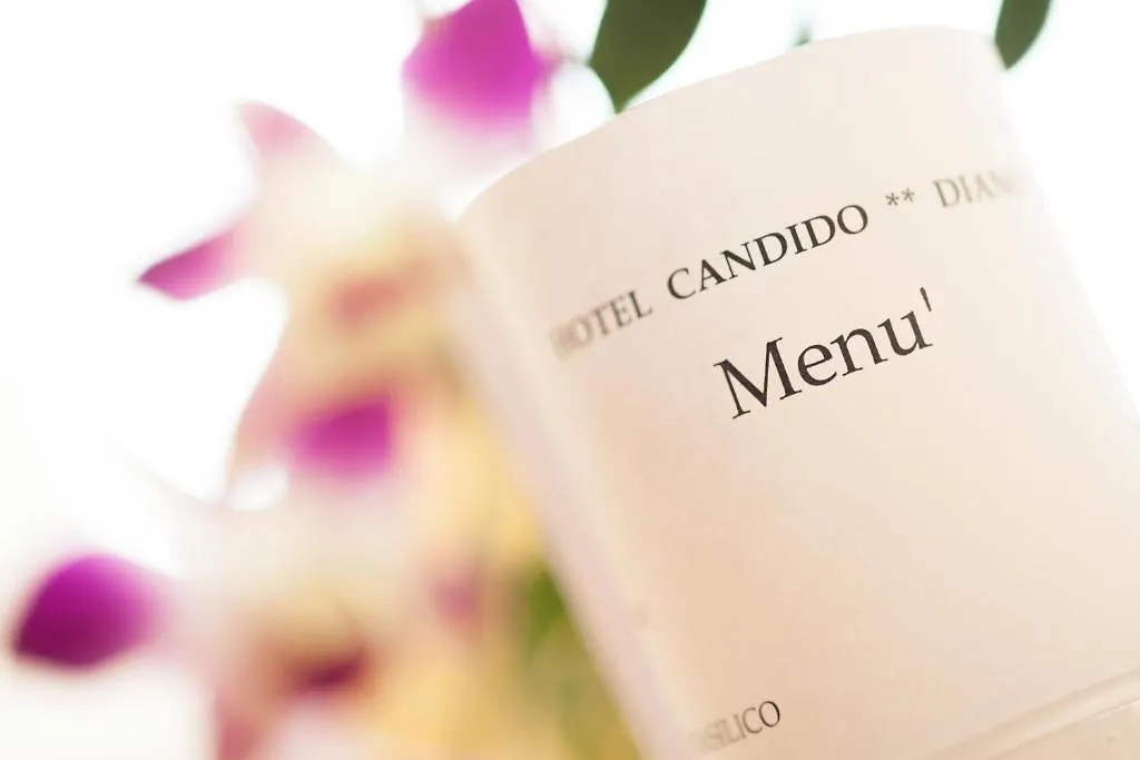 Hotel Candido Диано-Марина 2*,  Италия