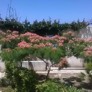 https://domus-austri.sicilyhotelsitaly.net